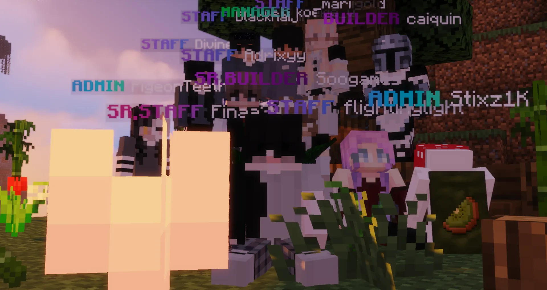 The KiwiSMP staff team in 2019