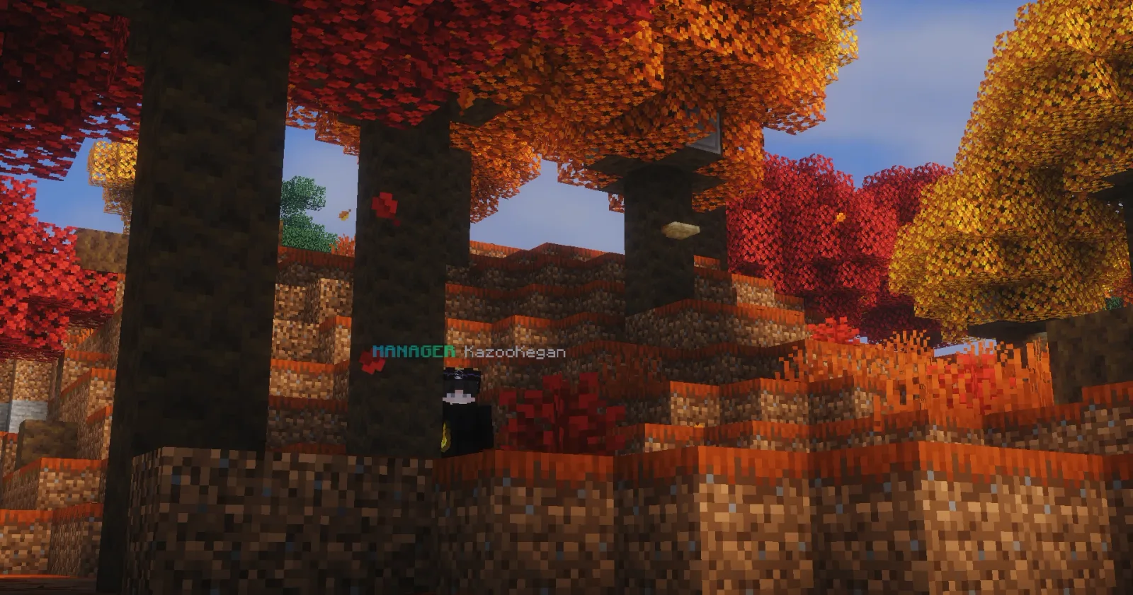 A Dappled Forest on the KiwiSMP Earth map, with red, orange and yellow poplar trees